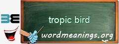 WordMeaning blackboard for tropic bird